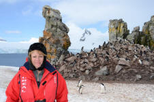 Chinstrap Colony