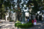 Shaded Cemetery Walk