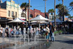 Manley Promenade