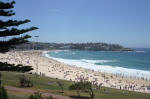 Bondi Beach