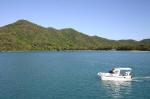 Dunk Island