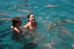Swimming with the Fishes