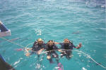 Divers in the Water
