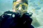 Tropical Fish
