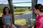 Skyrail Cabin