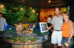 Interactive Rainforest