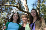 Koala Conservation Centre