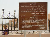 Royal Camel Farm