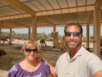 Shade for Camels