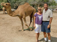 Two humps?