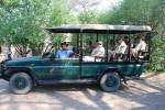 Safari Vehicle