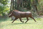 Warthog