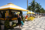 Coconuts