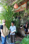 Boddhi Tree Restaurant