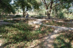 Mass Graves