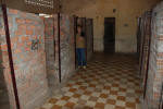 Classrooms of Cells