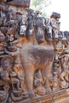 5-headed horse