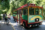 Stanley Park Bus