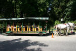 Stanley Park Horse Tour