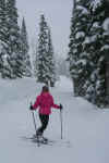 Skiing in the snow