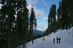 Beautiful trails