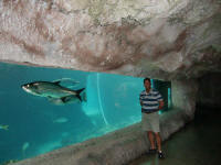 Marine Habitat
