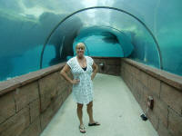 Underwater Tunnel