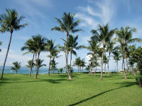 Ocean Club Palms