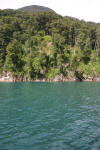 Turquoise Water