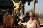 Pam Loves a Racehorse