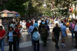 Pedestrian Zone