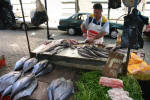 Fish Market