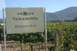 Veramonte Vineyards