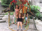 Posing with Peacocks