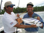 Roosterfish