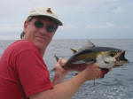 Pacific Yellowfin Tuna