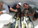 Dorado for Dinner