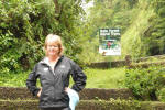 Rainforest Aerial Tram