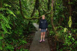 Rainforest Walk
