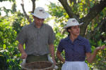 Coffee Tour