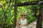 Welcome to the Jungle
