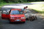 Feeding the Coatis