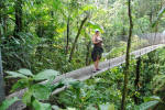 Hanging Bridges