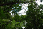 High Bridge
