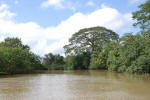 Rio Frio