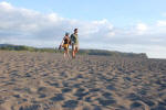 Walking on the Beach