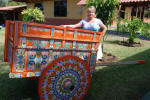 Normal Oxcart
