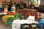 Oxcarts for sale