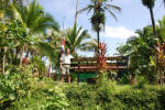 Caribbean Conservation Corporation