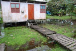 Tortuguero House